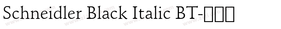 Schneidler Black Italic BT字体转换